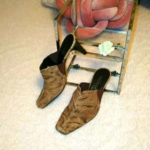 Reptile 🦎 Meucci💛Mules💙